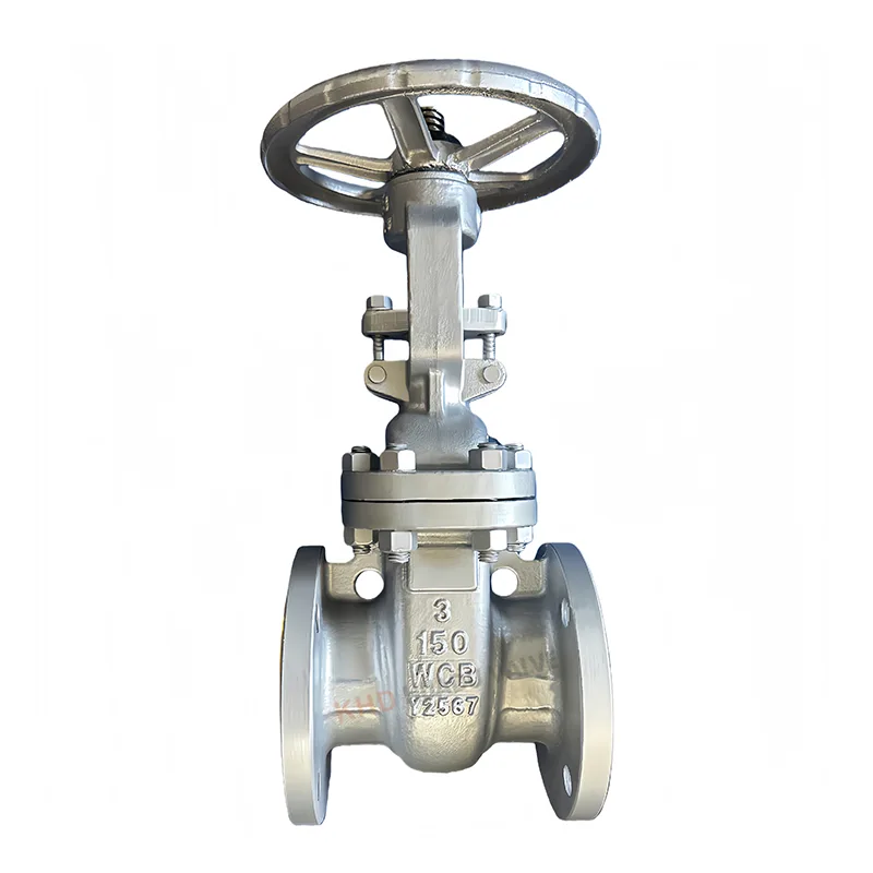 Karbon Polad ANSI Gate Valve