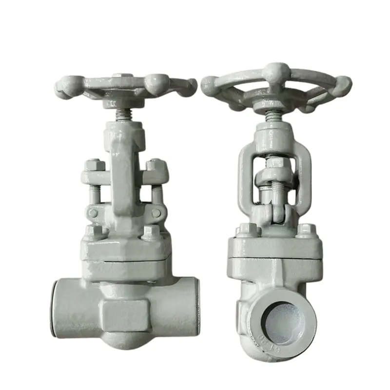Kimya Sənayesi Xüsusi Gate Valve