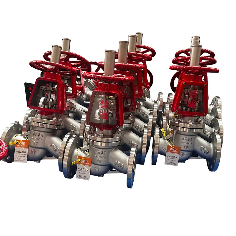Paslanmayan Polad Oksigen Qlob Valve